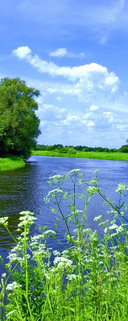 Пример изображения для макета изображения на стекле, фото 13